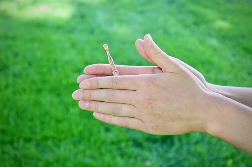 Cold Sore Treatment With Naturopathic Remedies