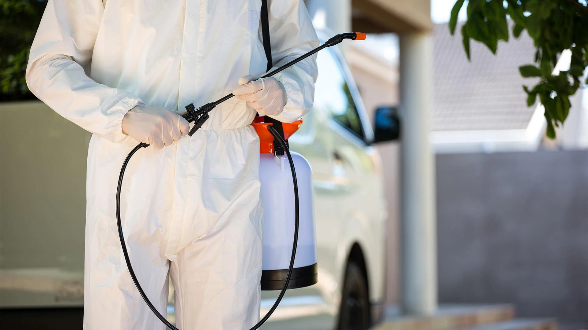 5 Factors to Think About When Considering Pest Control Termite Treatment