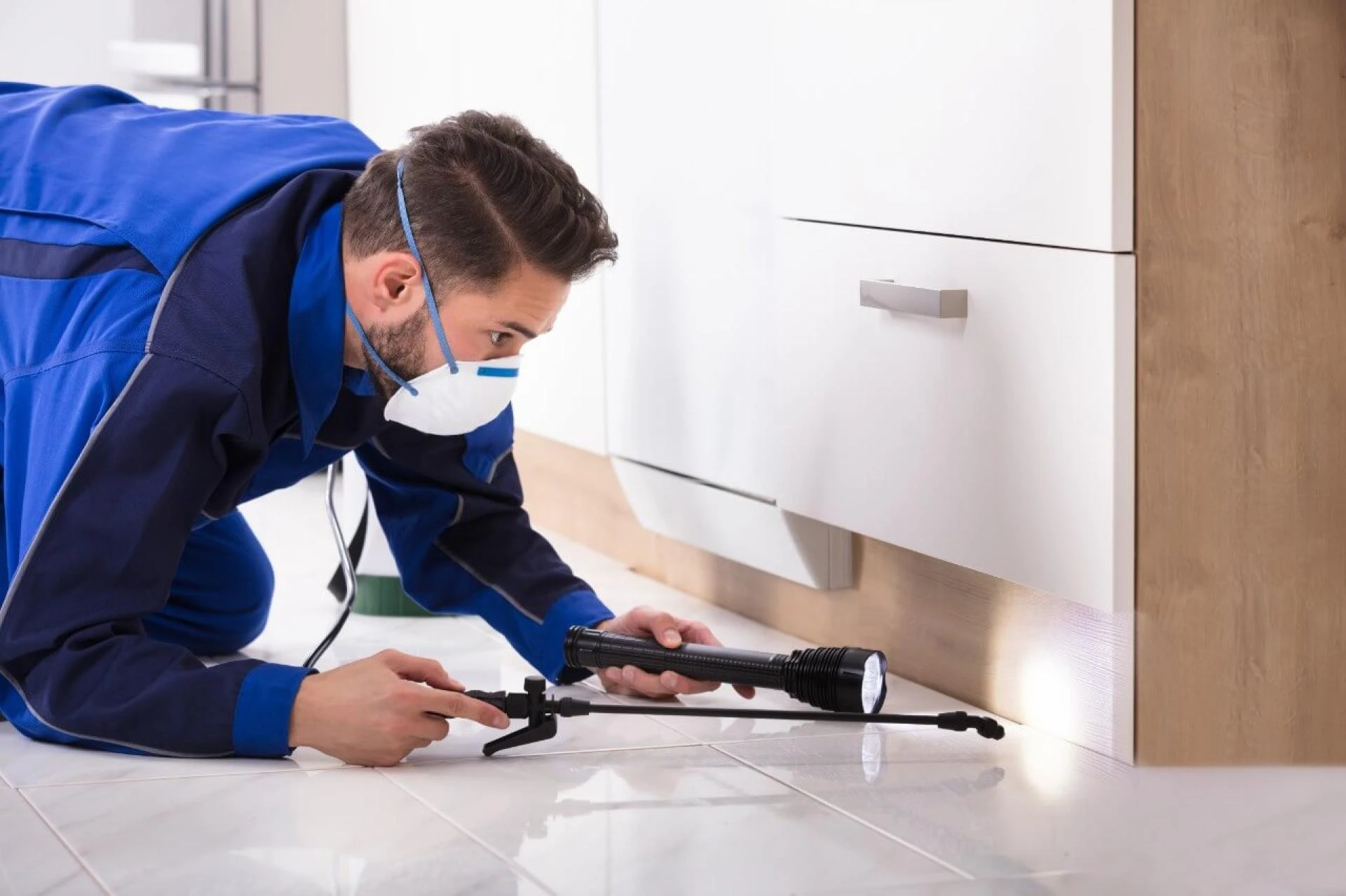 7 Benefits of Pest Control Services and Why You Can't Ignore This