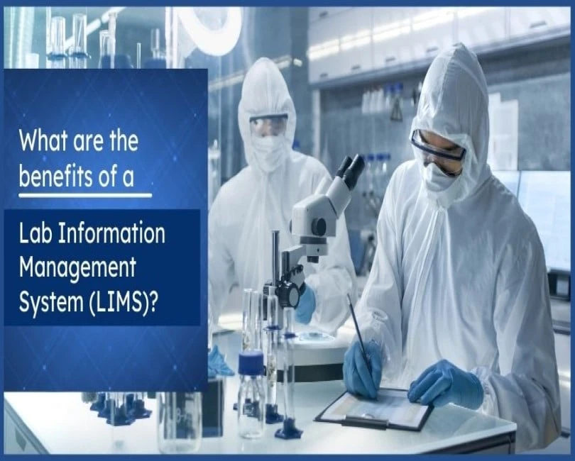 Custom Software Development Company | ERP software company in Pune