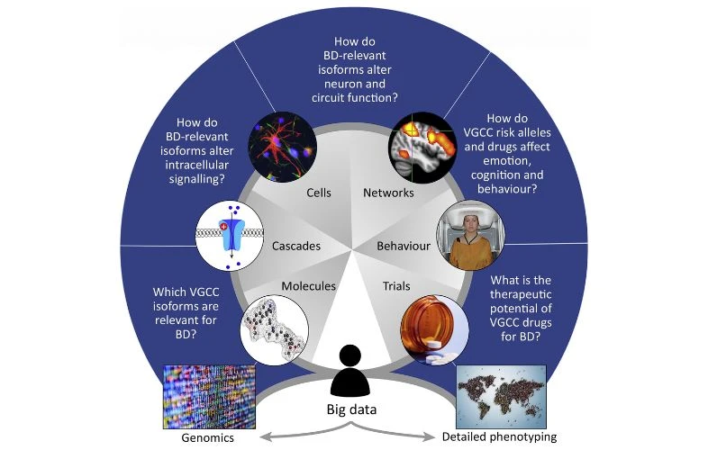 Beyond the Mind: A Comprehensive Guide to Therapy for Bipolar Disorder