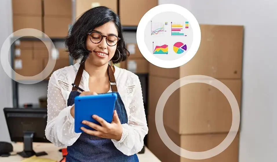 Dynamics NAV ERP Software