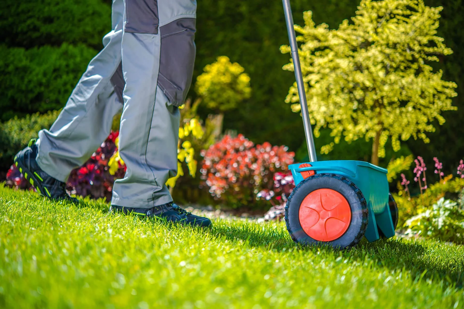 The Top 6 Benefits of Professional Garden Maintenance