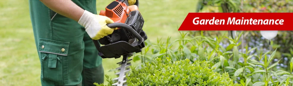 From Yards to Estates: The Art of Lawn Maintenance Unveiled