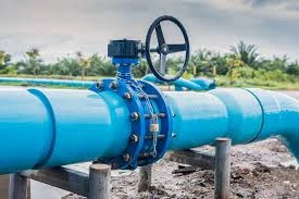 Asia Pacific Butterfly Valve Market Demand, Trends and Opportunity 2024-2032
