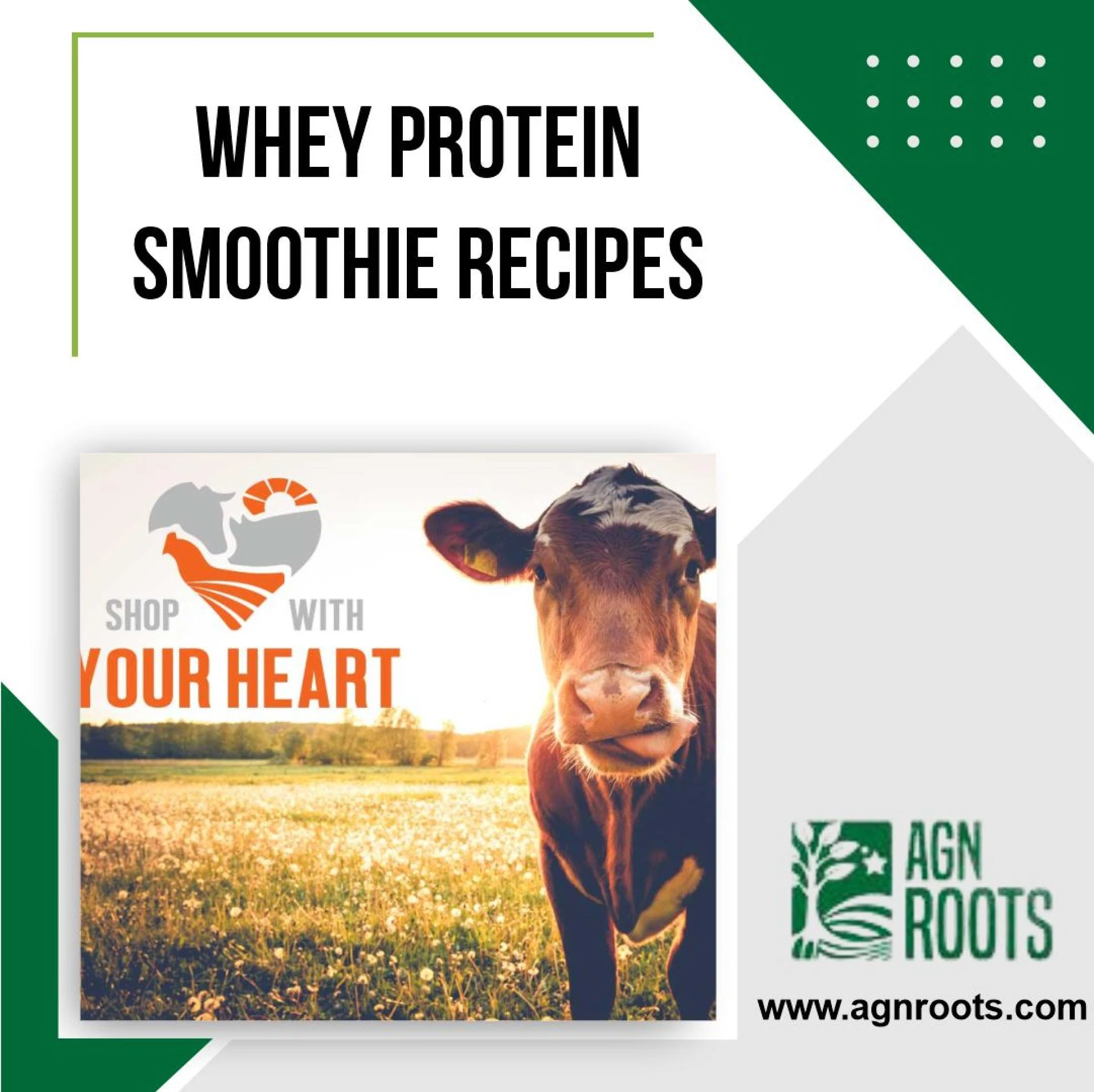 The Best Protein Calculator