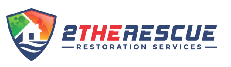 Why is removing mold very necessary from the house?