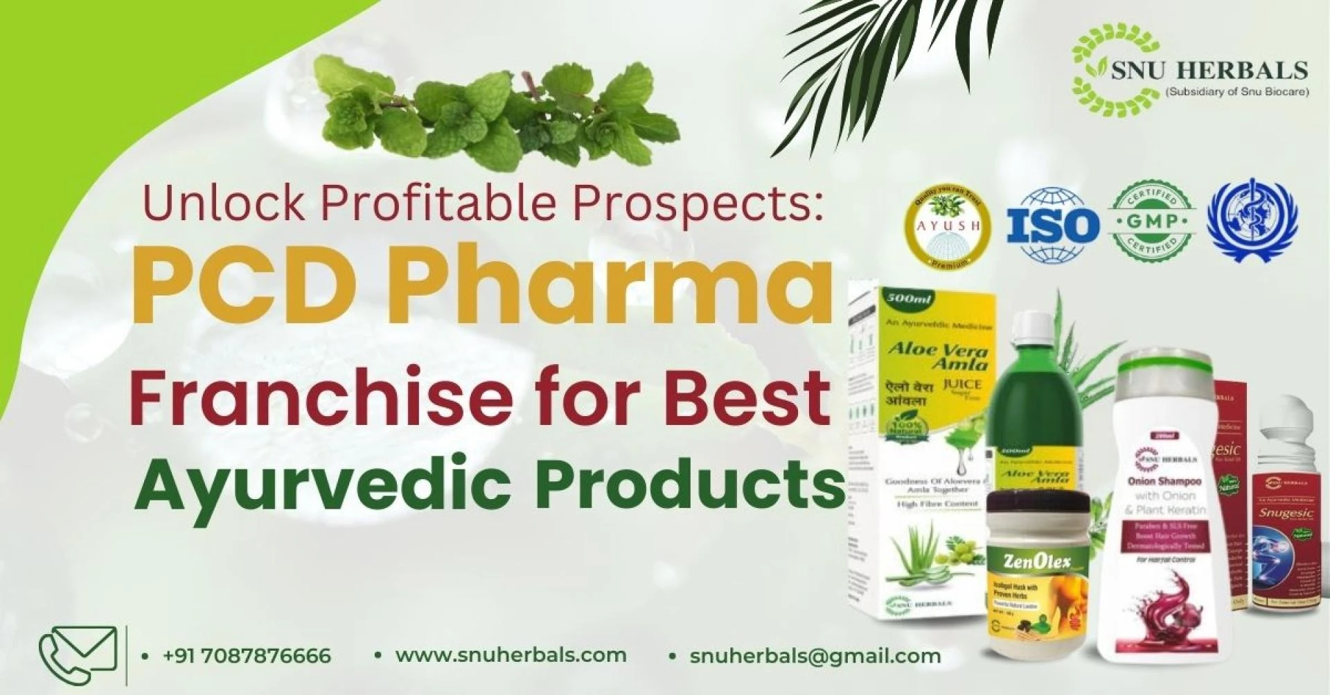 Thinking of Investing in an Ayurvedic Products PCD Franchise in India? Consider SNU Herbals