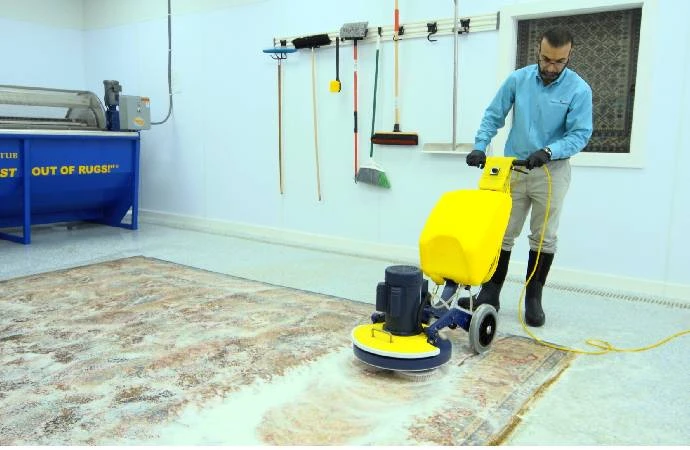 The Ultimate Guide to Fort Collins Carpet Cleaning - Tips and Expert Advice