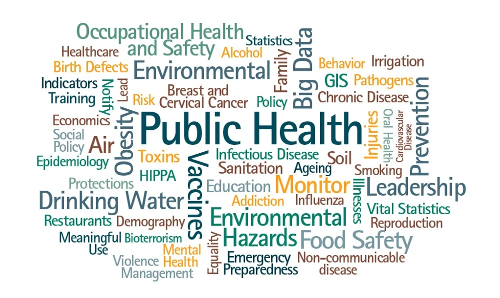 The Inadequacies Of The Public Health And Community Work Sector In Pakistan
