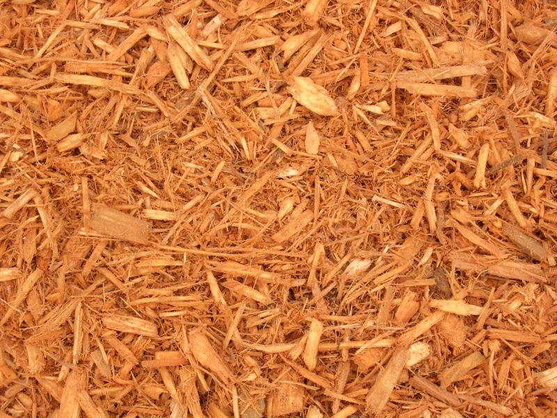 Enhance Your Garden with Gold Timberline Mulch and Other Organic Options