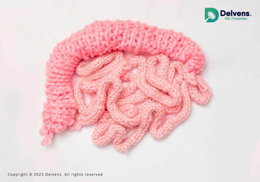 Evolving Landscapes: Abdominal Surgery Market Size, Share, and Trends by 2030