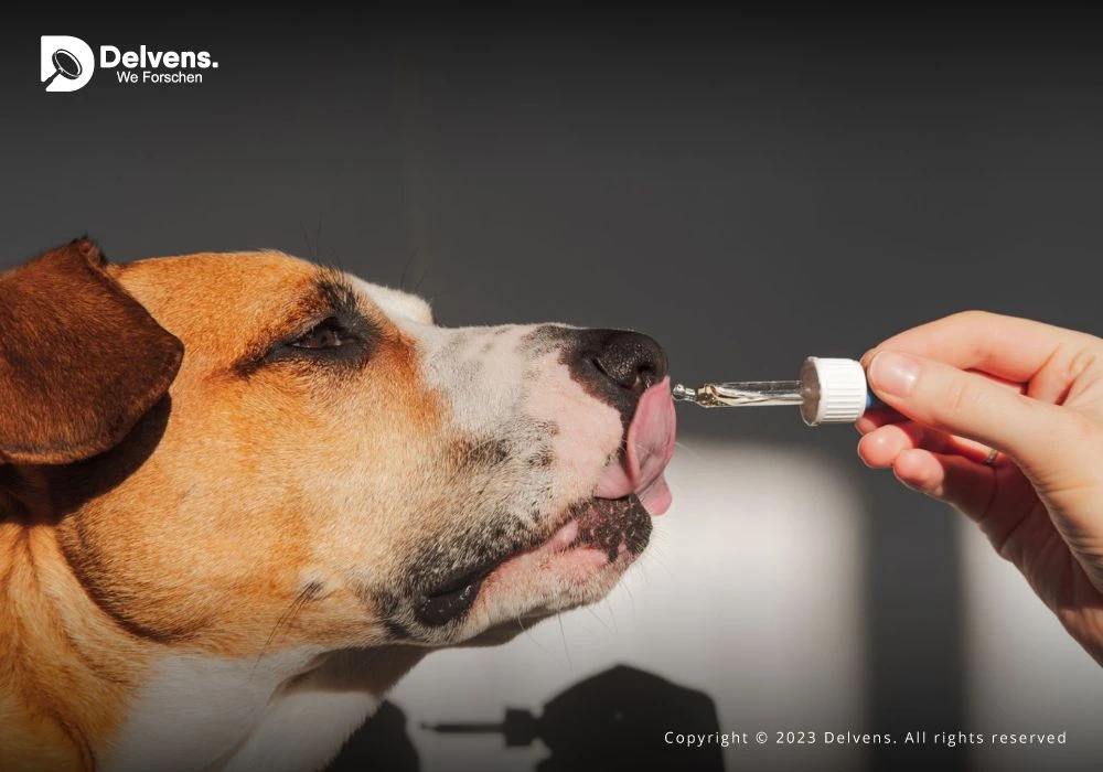 Pet Supplement Market - Trends Forecast Till 2028: Size and Growth Overview Analysis