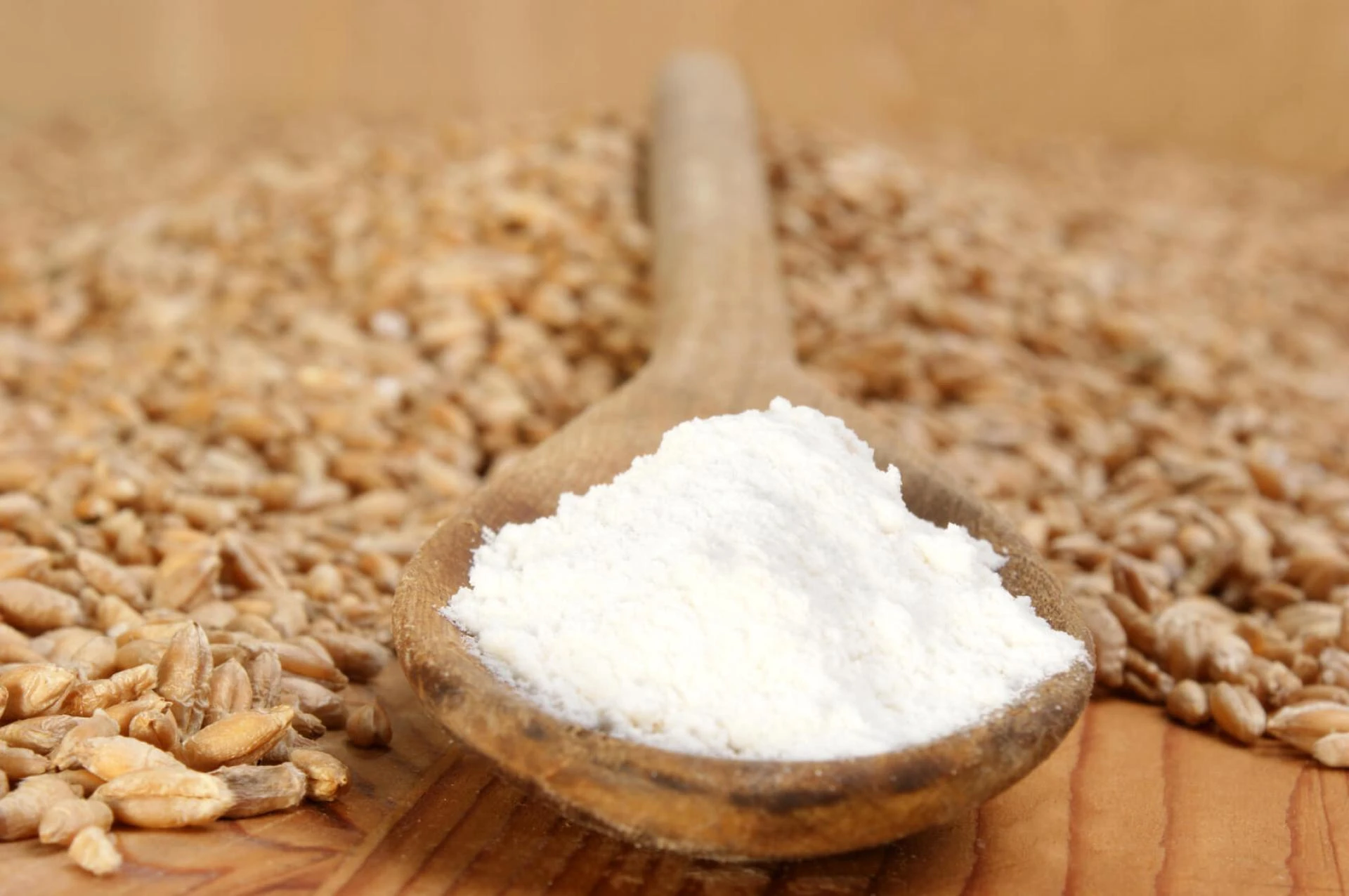 Wheat Starch Manufacturing Plant Report 2024: Business Plan, Setup Details and Investment Opportunities