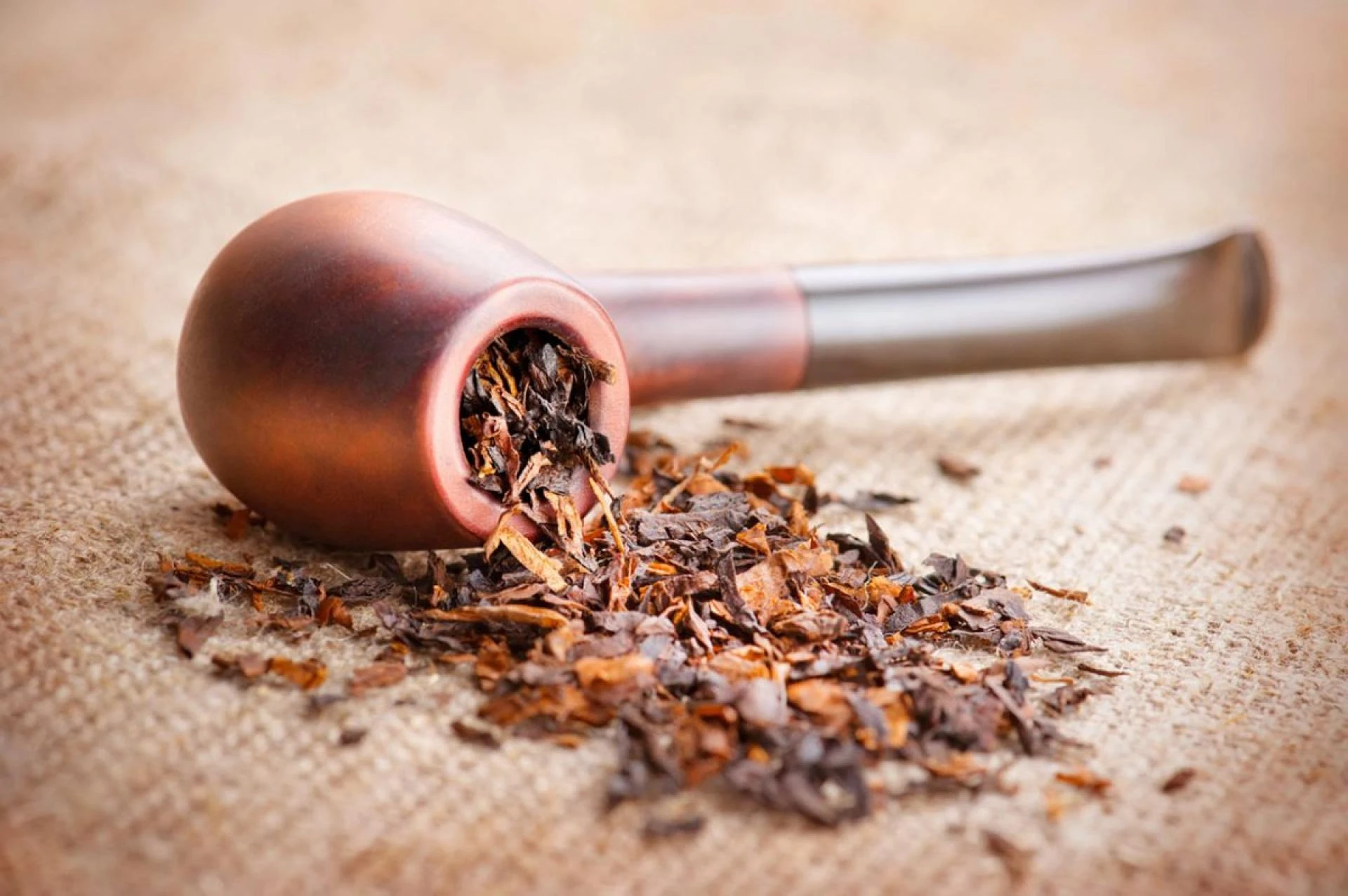 Establishing a Profitable Chewing Tobacco Manufacturing Plant Project Report 2024