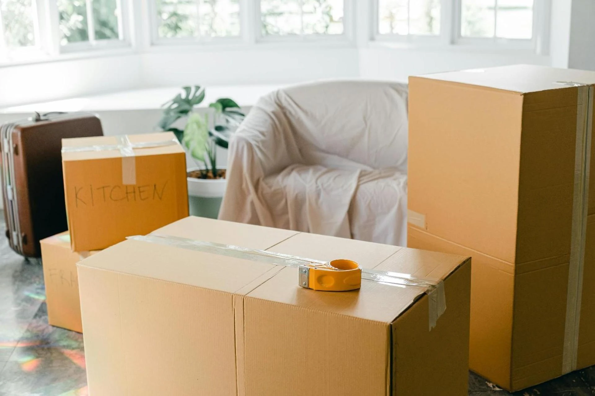 Choosing the Right Local Moving Company: What You Need to Know