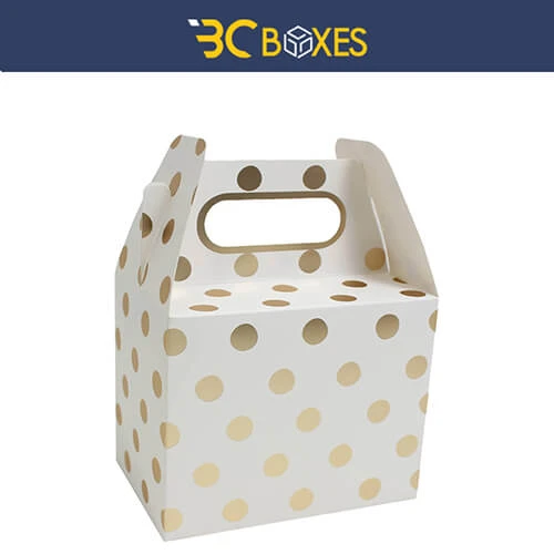 Eco Friendly Gable Boxes are the Latest Solution to Pollution.