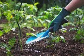 Fertilizer Additives Market Size 2024, Global Industry Trends and Forecast Report 2032