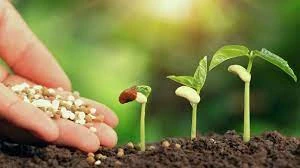 Fertilizer Additives Market Share 2024: Latest Insights, Trends, Growth and Forecast Report 2032