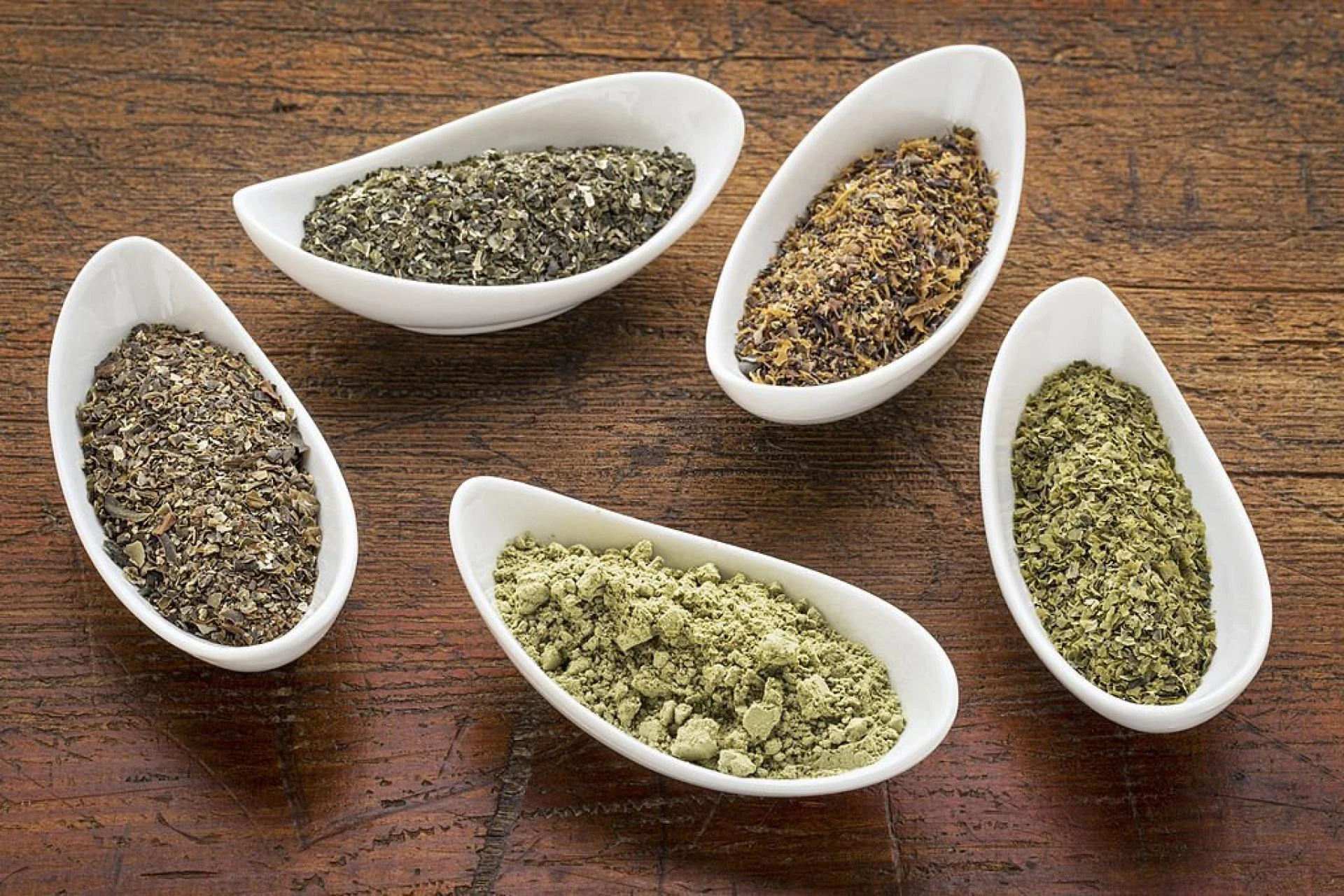 Buy Fucus Vesiculosus Extract Products Online – What Should You Know About It?