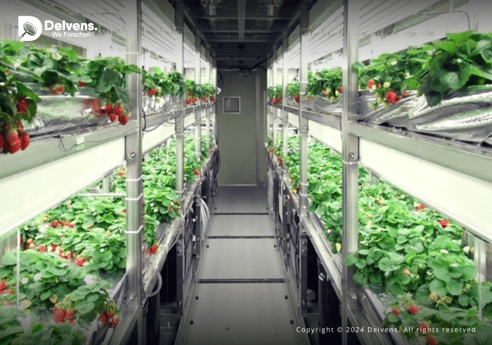 Plant Factory Market Research Report: Revenue and Share Insights