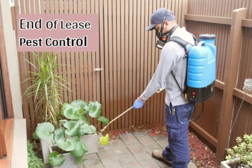 Why End of Lease Pest Control is Important?
