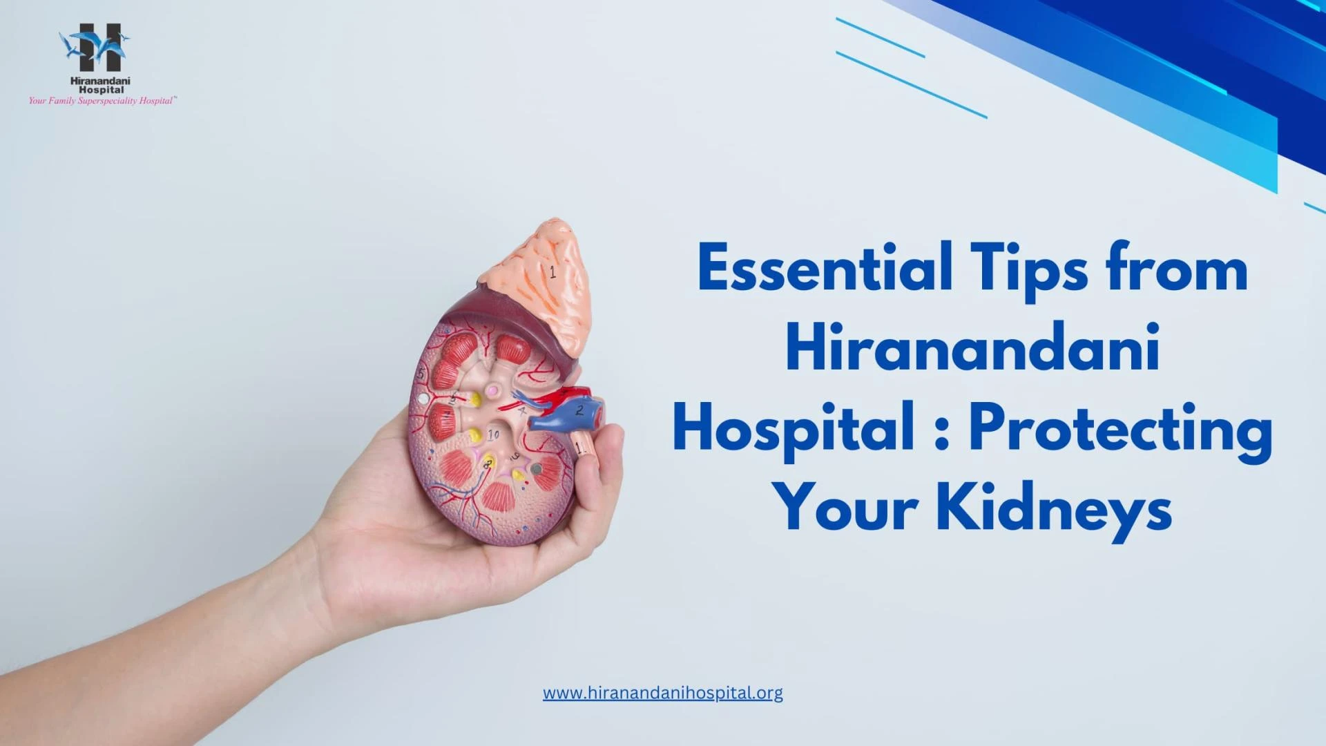 Essential Tips from Hiranandani Hospital : Protecting Your Kidneys