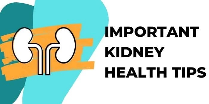 Most Important Kidney Health Tips