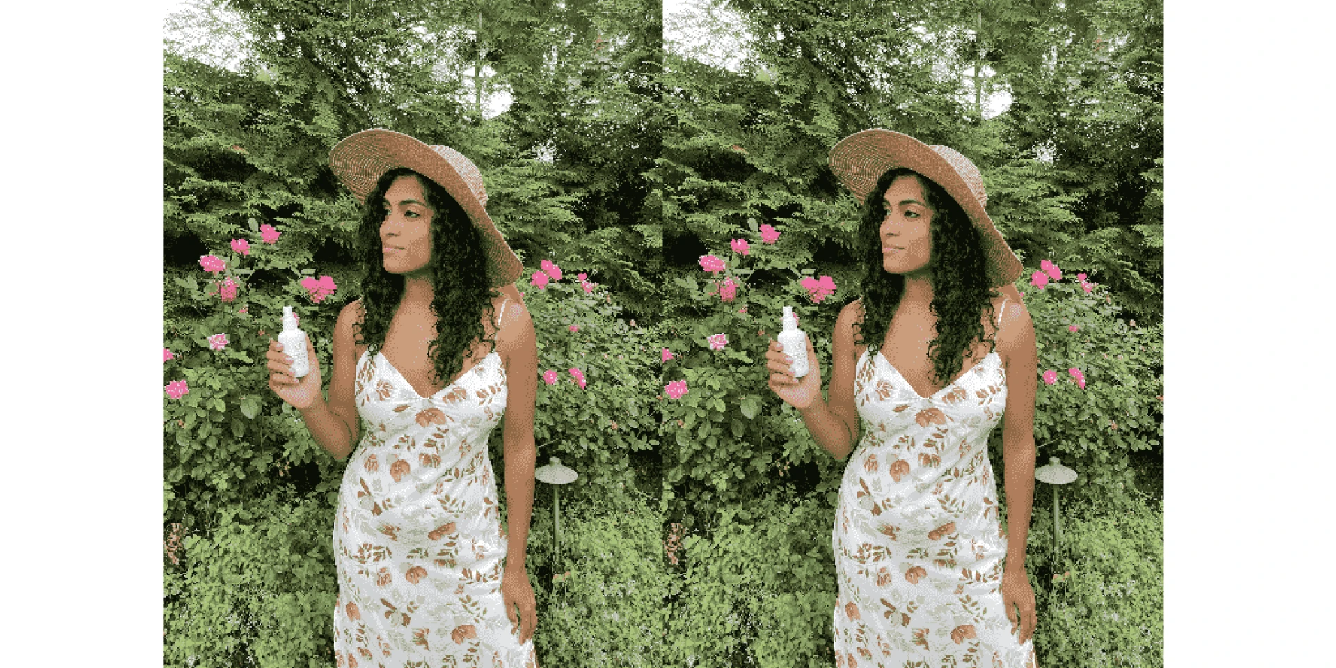 Keeping Your Home Pest-free, Naturally