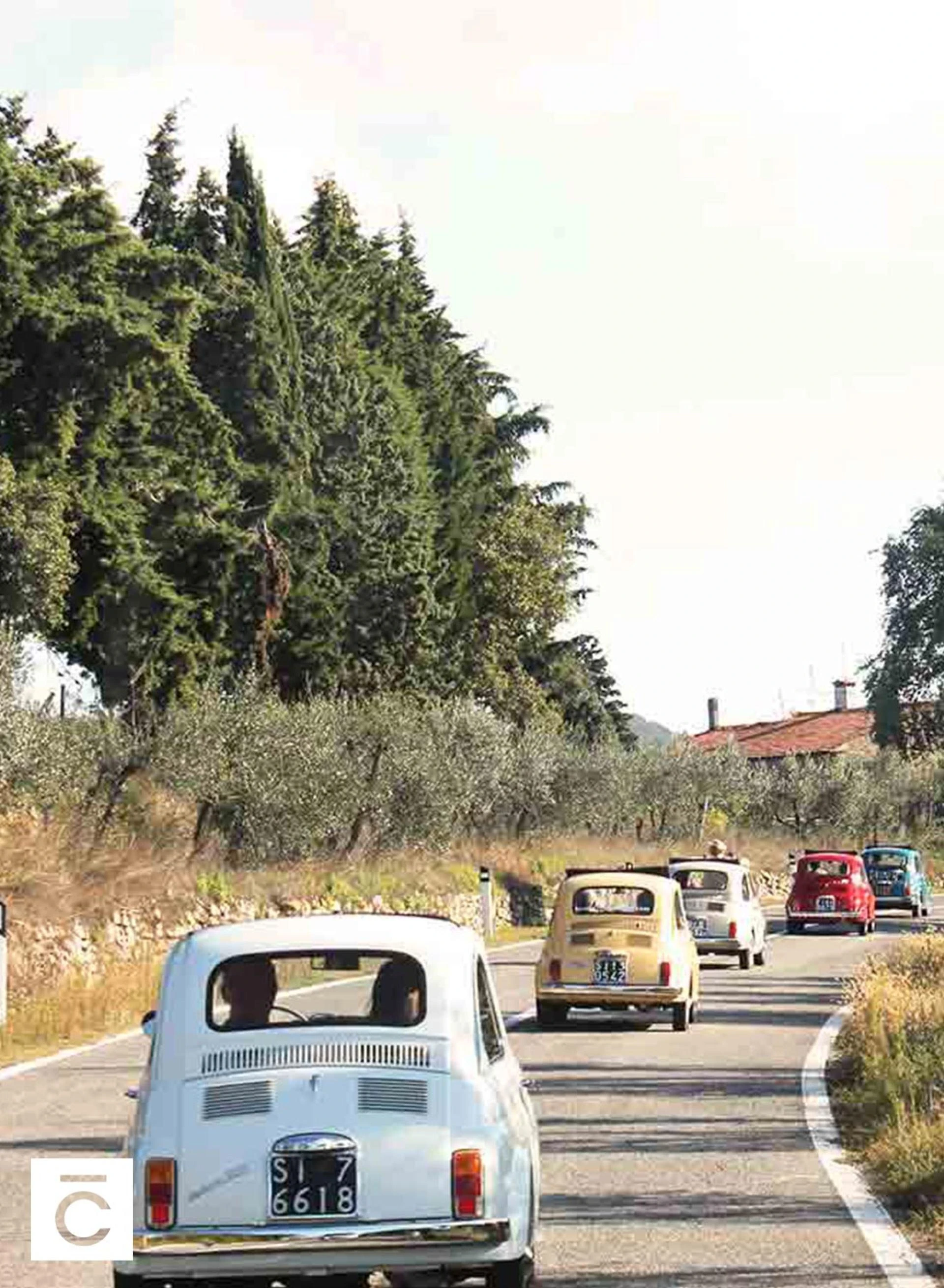 Live the Dream in Tuscany: Unforgettable Experiences