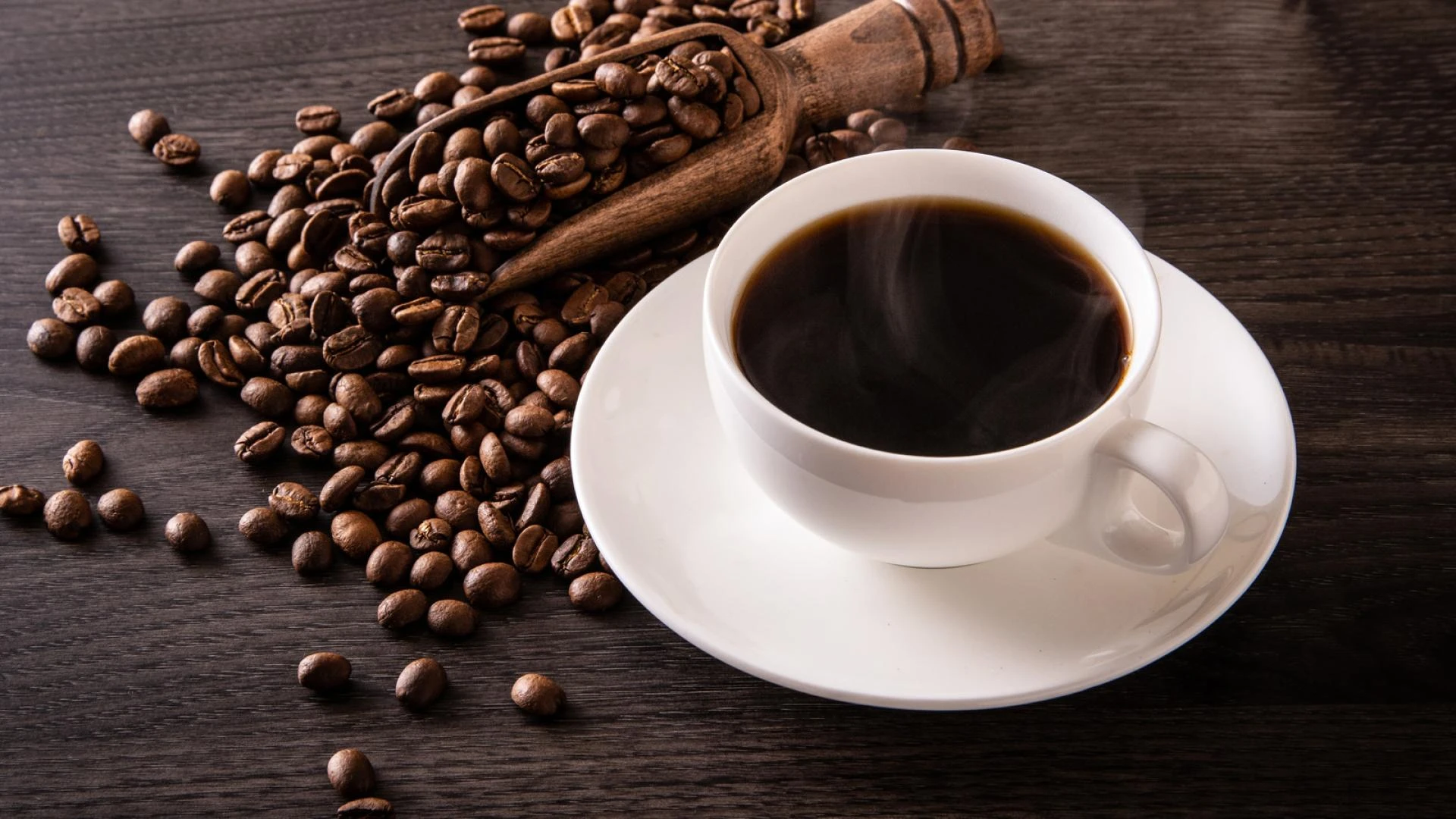 How to Choose the Best Coffee Beans In 2022