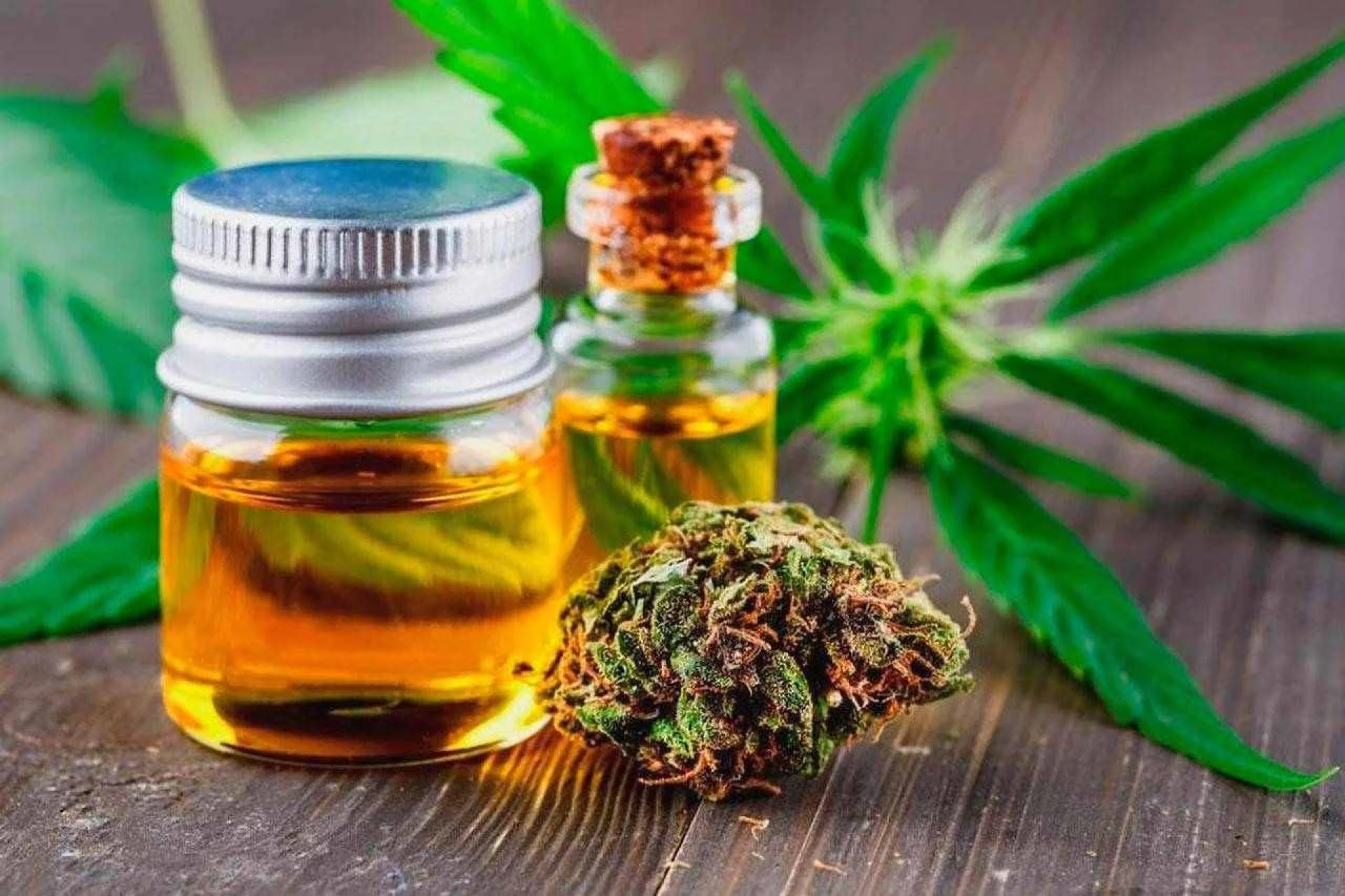 Is CBD Oil Really Beneficial in Treating Ailments? Let's Find Out