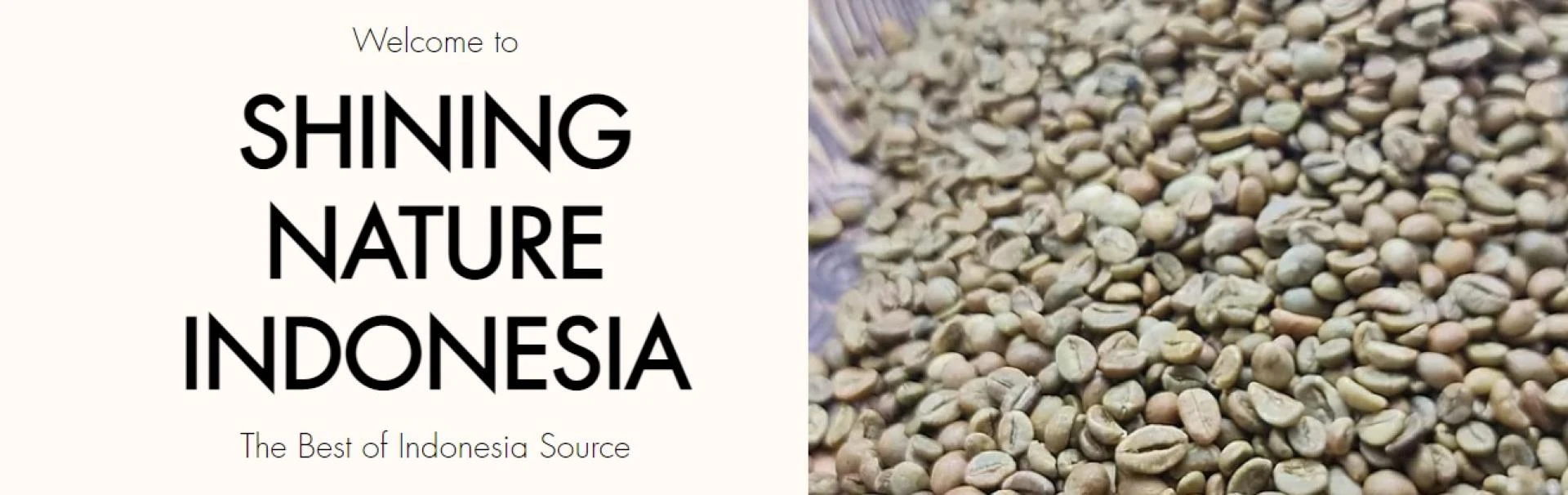 Premium Robusta Green Bean Coffee