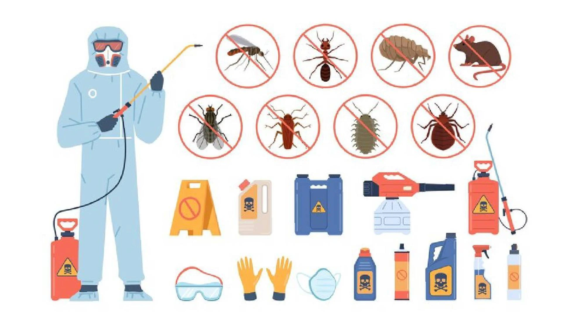 Pest Prevention a Comprehensive Guide to Keep Your Home Bug-Free