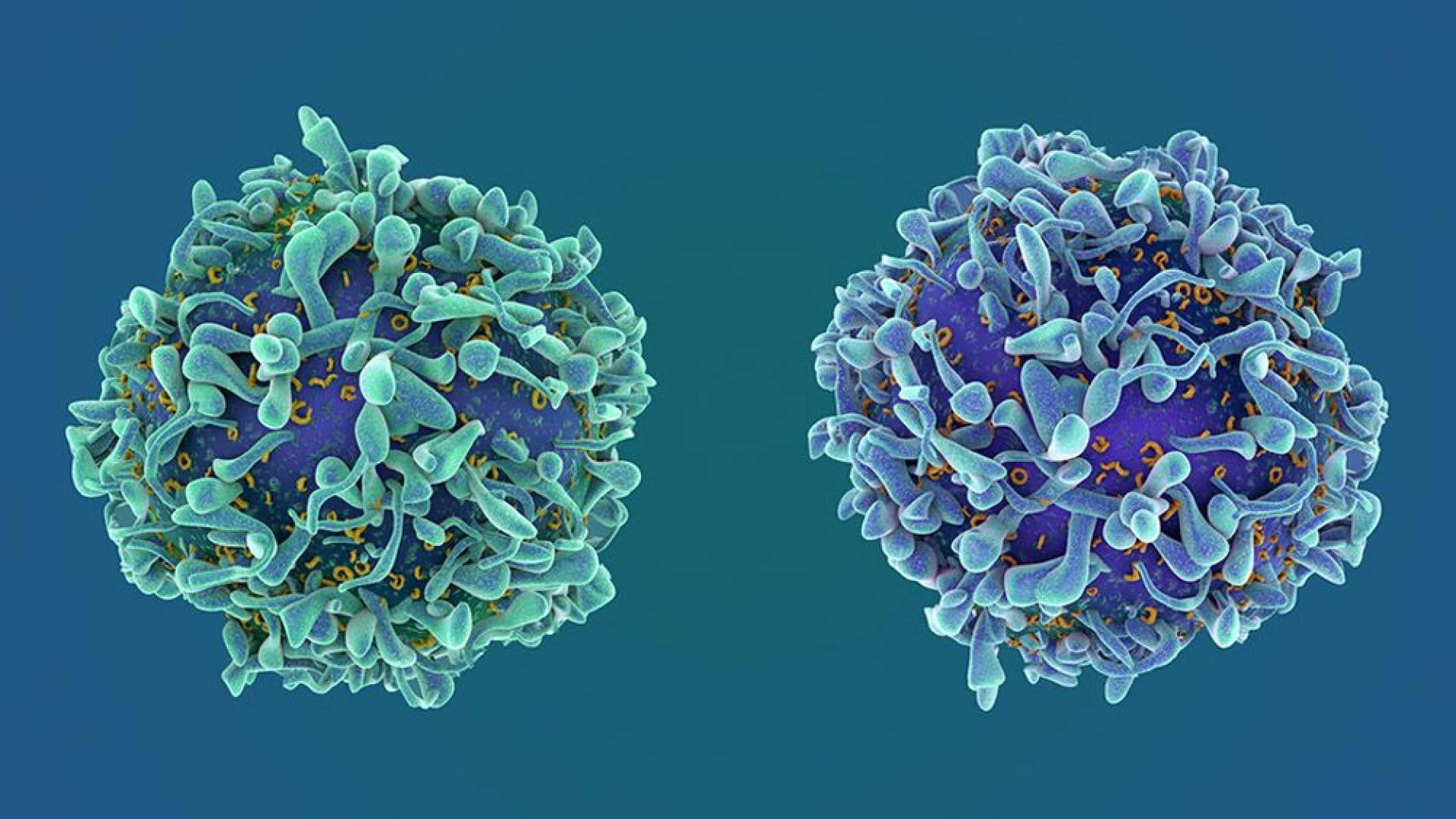 Biosimilar Market in Europe Scope, Share, Key Driver, Key Players, Analysis and Forecast 2021-2026