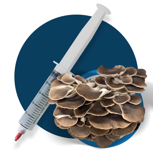 The Tranquil World of Amanita Muscaria E-Liquid: Exploring Relaxation and Mental Clarity