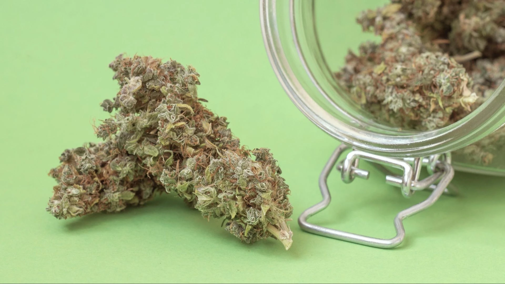 Understanding the Benefits: Why West Virginia Medical Marijuana Cards Matter