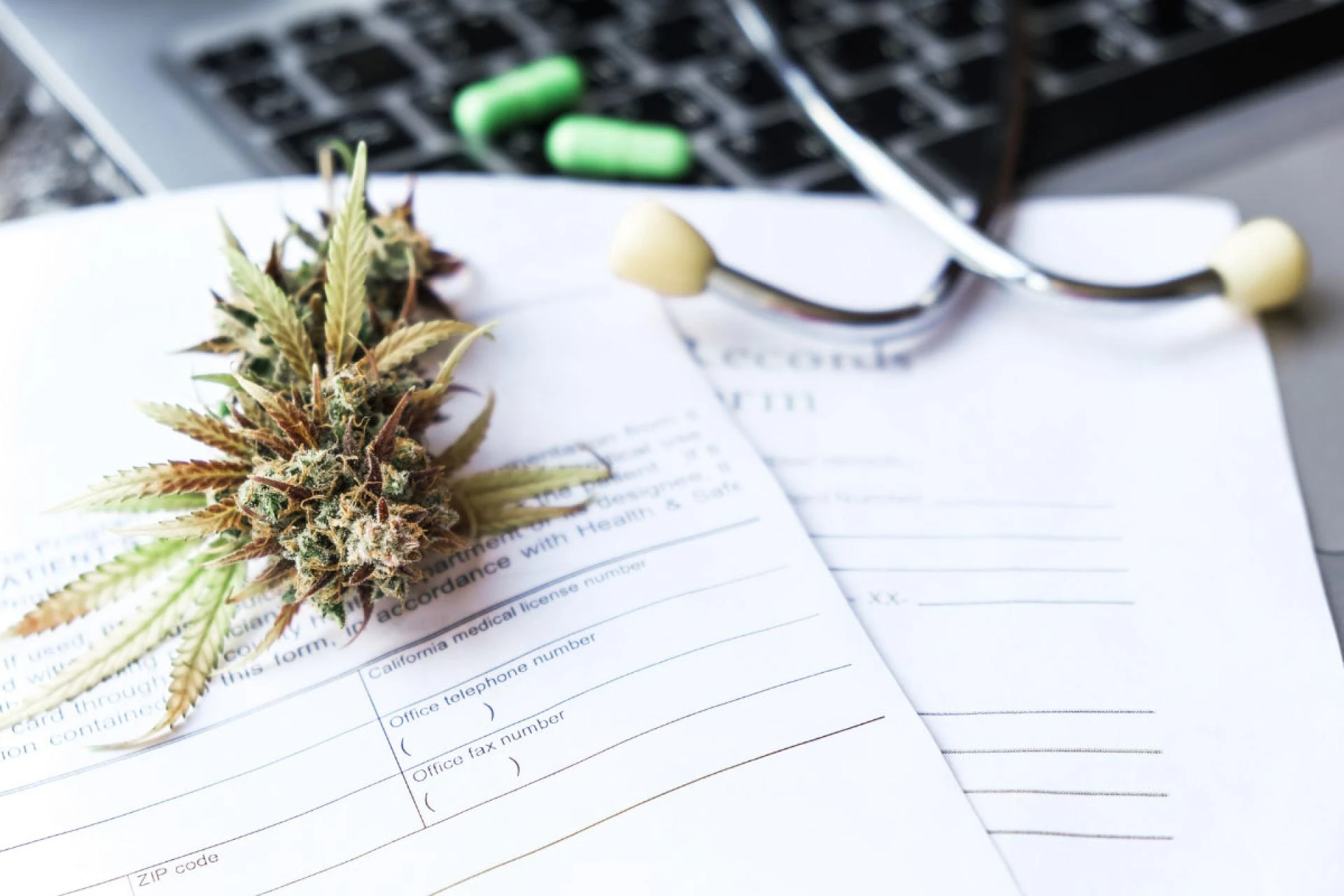 Medical Marijuana Program: What You Need to Know
