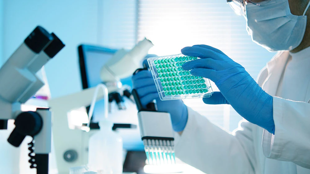 What services do Contract Research Organizations provide?