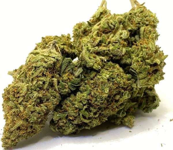 Durban Poison Strain Review : This Magnificent Weed is Anything but Poisonous