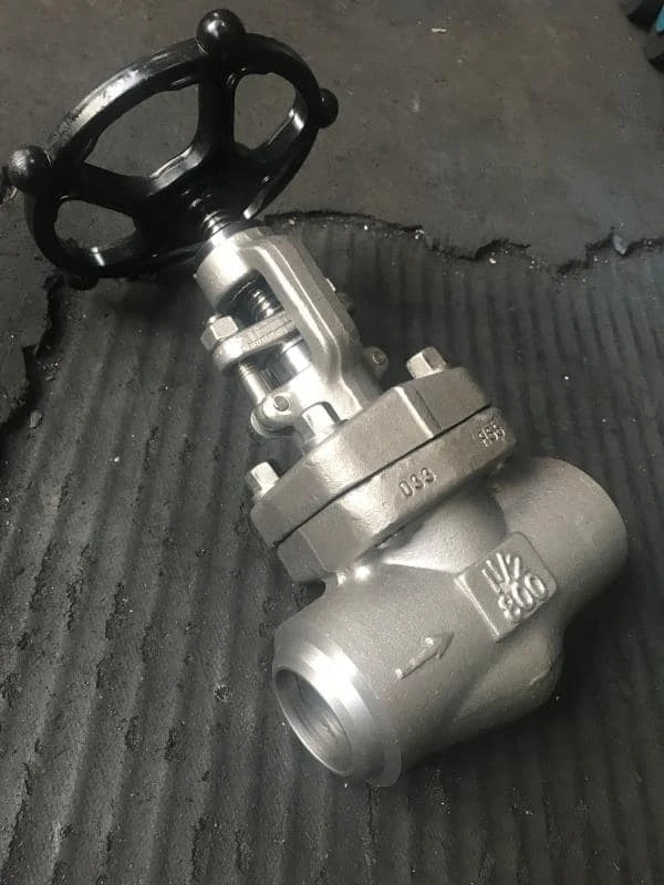 Check Valve Supplier in Algeria