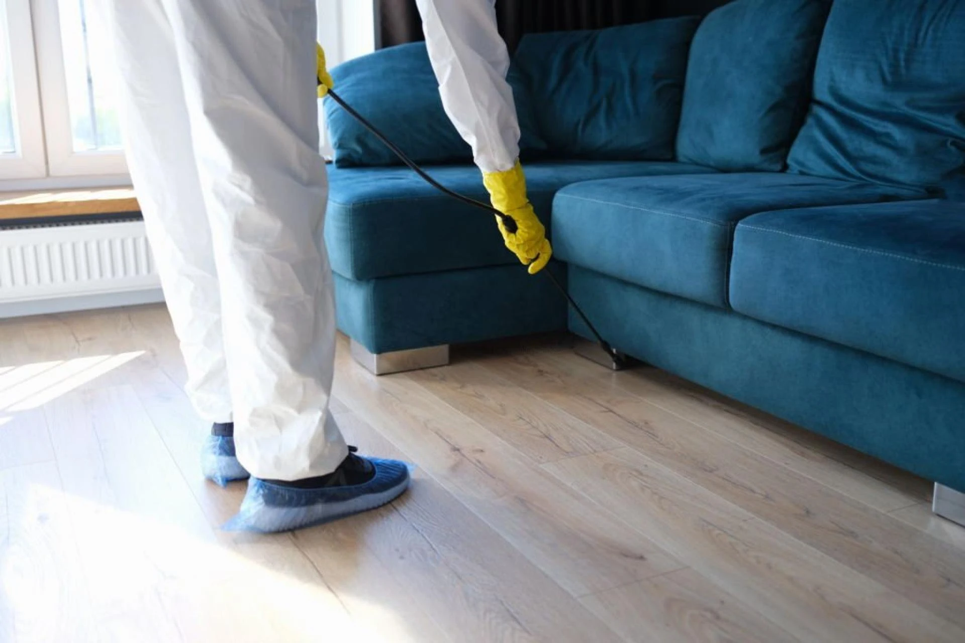Effective Pest Control Solutions in Mississauga: Keep Your Home and Business Pest-Free