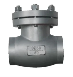Cryogenic Check valve supplier in UAE