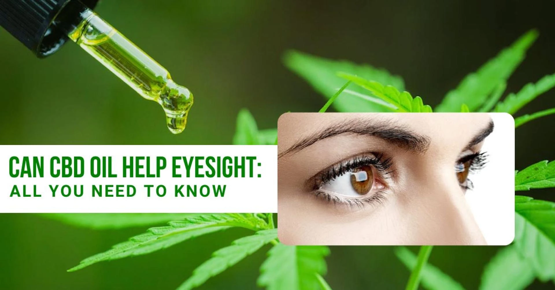 Can CBD Oil Help Eyesight: All You Need To Know.