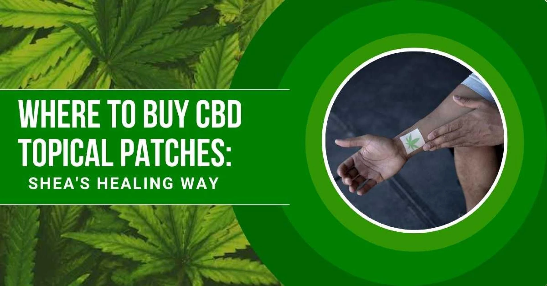 CBD Topical Patch: Is It Effective For Pain &amp; Where To Buy It?