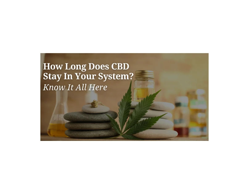 How Long Does CBD Stay In Your System? Know It All Here.