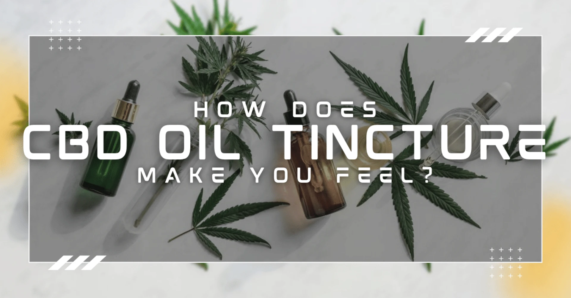 How Does CBD Oil Tincture Make You Feel?
