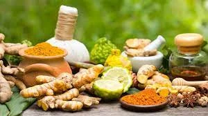 Exploring the Different Types of Ayurvedic Therapy and Their Unique Benefits