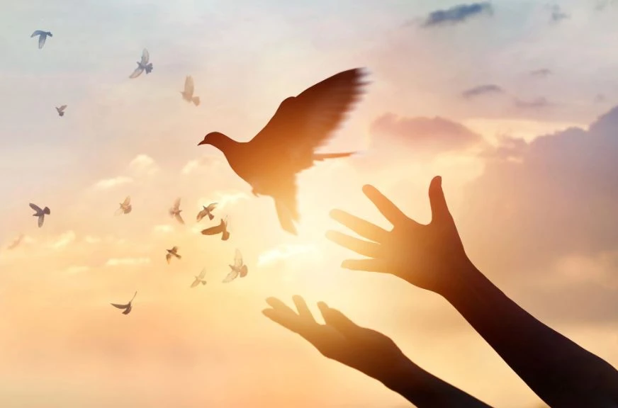 Healing from Within: The Holistic 30-Day Program by Krista Buda