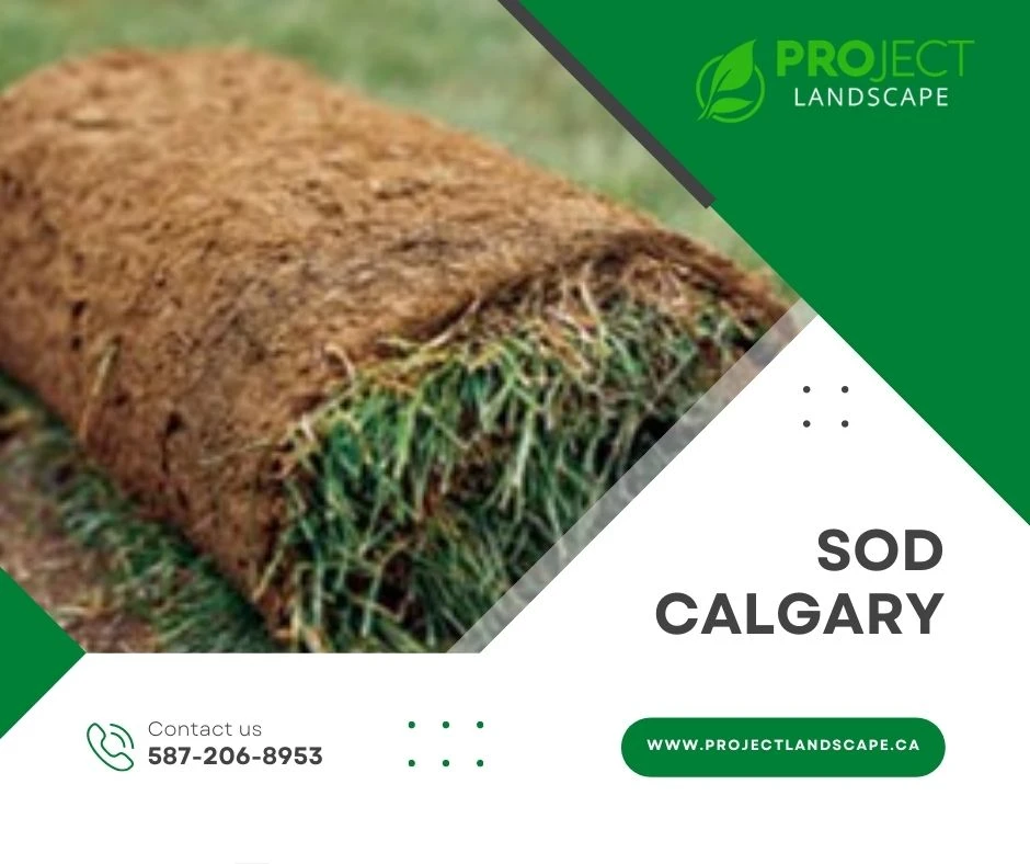 Top Reasons to Consider Sod in Calgary